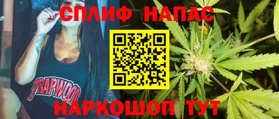 шишки Северобайкальск