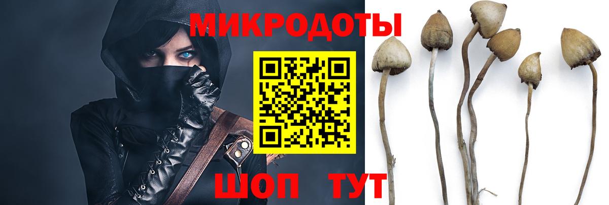 Серов  Псилоцибиновые грибы Psilocybine cubensis  Вход с VPN 